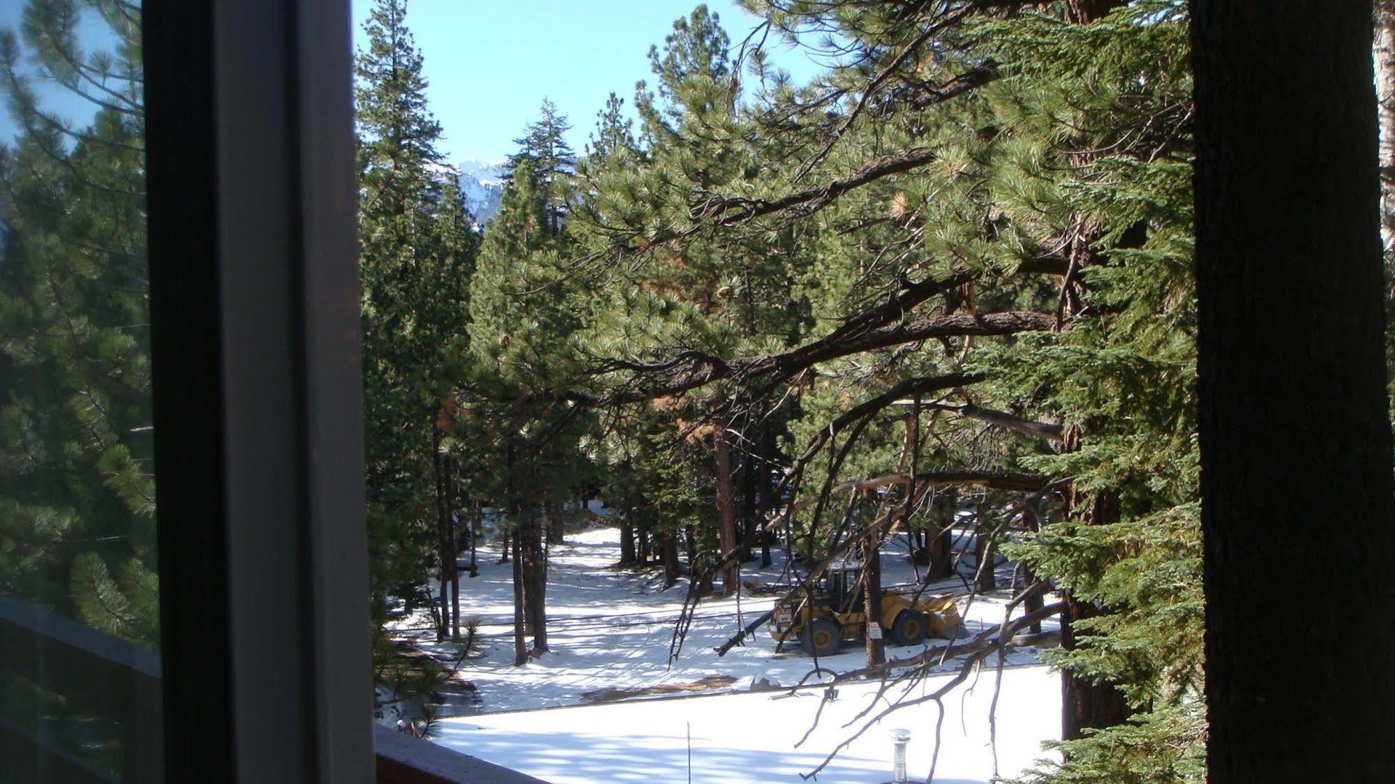 Innsbruck Lodge