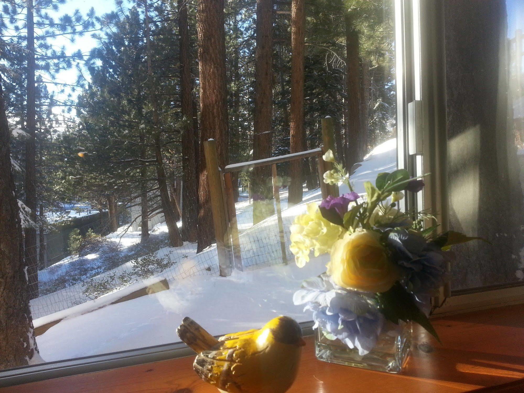 Innsbruck Lodge Mammoth Lakes